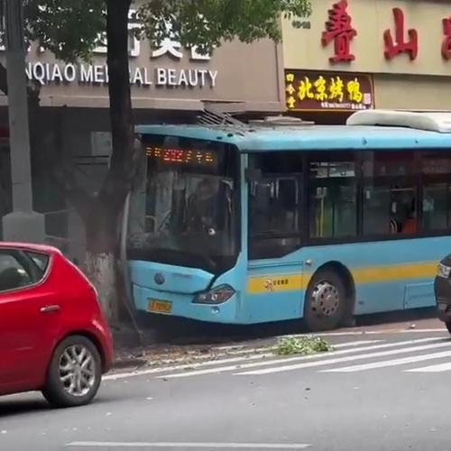乘客攻击公交车司机,乘客攻击公交车司机导致车祸